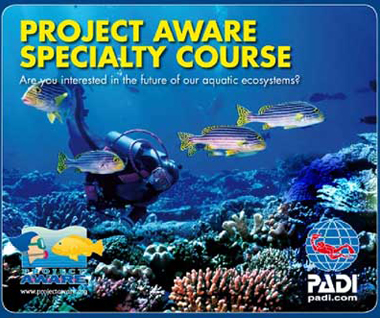 Project-AWARE-Scuba-Nation-Cambodia